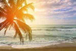 Landscape of tropical beach nature with coconut tree and clouds on horizon in Thailand. Summer relax outdoor concept. photo