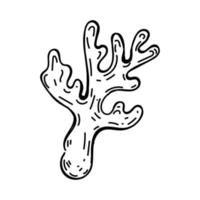 Coral, hand-drawn in sketch style. Reef. Seabed. Vegetation and organisms of the oceans. Part of a coral. Simple vector illustration