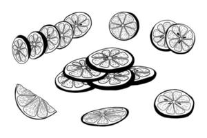 Set of hand drawn lemon slices. Isolated black on white elements for design vector