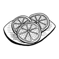 Group of three hand drawn lemon slices on a wooden board. Isolated black on white elements for design vector