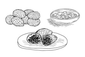 Set of hand drawn nutmeg, whole, half and slices on a plate or wooden board. Isolated black on white elements for design vector