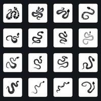 serpiente, iconos, conjunto, cuadrados, vector