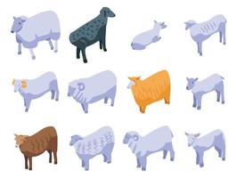 Sheep icons set, isometric style vector