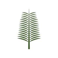 Palm tree leaf illustration logo template vector design