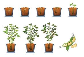 Soy beans seed sprout in pot icons set, flat style vector