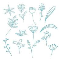 elementos decorativos florales dibujados a mano vector