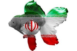 3D Flag of Iran on goldfish photo