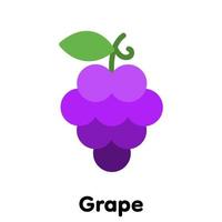 Grape icon . vector