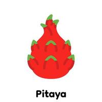 icono de fruta de dragón. vector