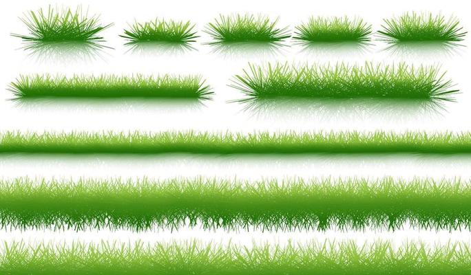 Green natural organic grass isolated on white background and texture