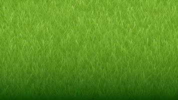 Green natural organic grass background and texture vector