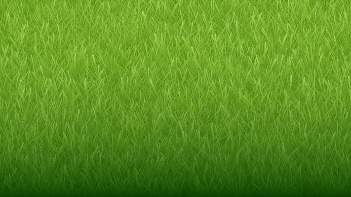 Green natural organic grass background and texture