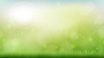 Grass Background Vector Art, Icons, and Graphics for Free Download