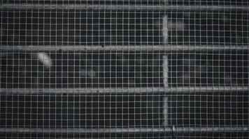 Abstract Grid Texture Background photo