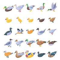 Duck icons set, isometric style vector