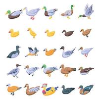 Duck icons set, isometric style vector