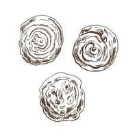 conjunto de bollos de canela estilo boceto dibujado a mano vintage. pan dulce sobre fondo blanco. ilustración vectorial iconos y elementos para impresión, web. vector