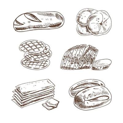 Vintage hand drawn sketch style bakery set. Bread and pastry on white background. Vector illustration. Icons and elements for print, web, mobile and infographics.