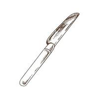 Vector hand drawn illustration of table-knife.  Brown and white  drawing isolated on white background. Sketch icon and  element for print, web, mobile.