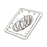 Vector hand drawn illustration of bread on a baking sheet.  Brown and white drawing isolated on white background. Sketch icon and bakery element for print, web, mobile and infographics.