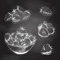 Vector  sketch set  of  strawberries.  Hand drawn  white sketch on black chalkboard.  Summer berries.  Great for label, poster, print.