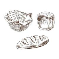 Vintage hand drawn sketch style bakery set. Bread in basket  and  pastry on white background. Vector illustration. Icons and elements for print, web, mobile and infographics.