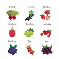 Set of colorful cartoon berries vector