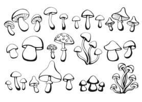 Hand drawn set of mushrooms. Outline drawing. Vector illustration. Black and white.