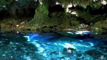 Blue turquoise water limestone cave sinkhole cenote Tajma ha Mexico. video