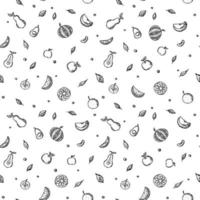 Seamless fruit pattern. doodle background with fruit icons. Fruit background vector