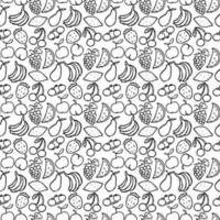 Seamless fruits pattern. Black and white doodle fruits pattern. Fruits background vector