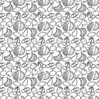 Seamless fruits pattern. Black and white doodle fruits pattern. Fruits background vector