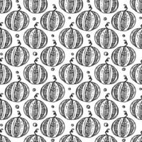 seamless watermelon pattern. vector doodle illustration with watermelon. pattern with watermelon