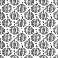 seamless watermelon pattern. vector doodle illustration with watermelon. pattern with watermelon