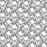 Seamless apple pattern. seamless doodle pattern with apples. Black and white vector illustration with apples