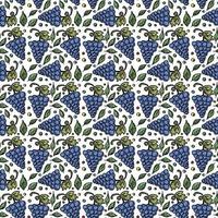 Seamless grape pattern. Doodle vector with grape icons. Vintage grape pattern