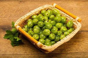 Gooseberries in the bowl photo