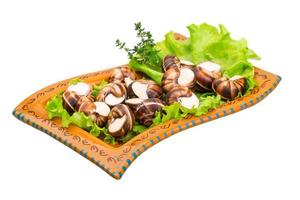 Escargot snails on a plate with lettuce photo