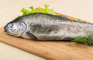 Raw fresh trout photo