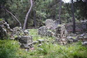 Phaselis ruins in Turkey photo