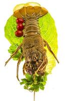 Raw spiny lobsters photo