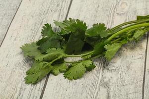 hojas frescas de cilantro verde maduro foto