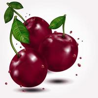 Bright berries ripe cherry with drops, isolated on white. Vector illustration.