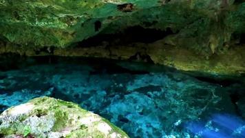 Blue turquoise water limestone cave sinkhole cenote Tajma ha Mexico. video