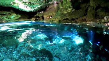 eau bleu turquoise grotte calcaire gouffre cenote tajma ha mexico. video