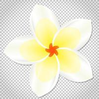 Icon of flower, vector floral symbol.