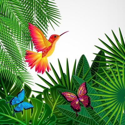 Tropical leaves with birds, butterflies. Floral design background with colibri.