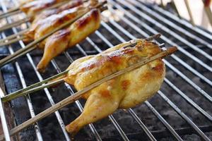 Grilled chicken on a golden casserole photo