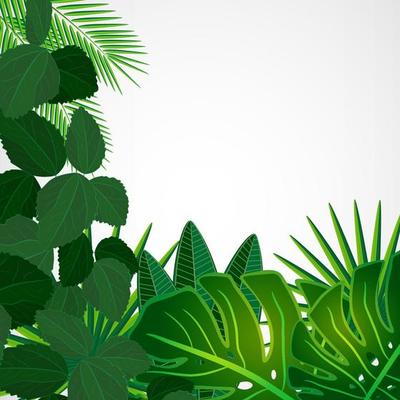 Tropical leaves border. Floral design background.