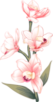 Bouquet Orchid flower drawing transparency background.Floral object. png